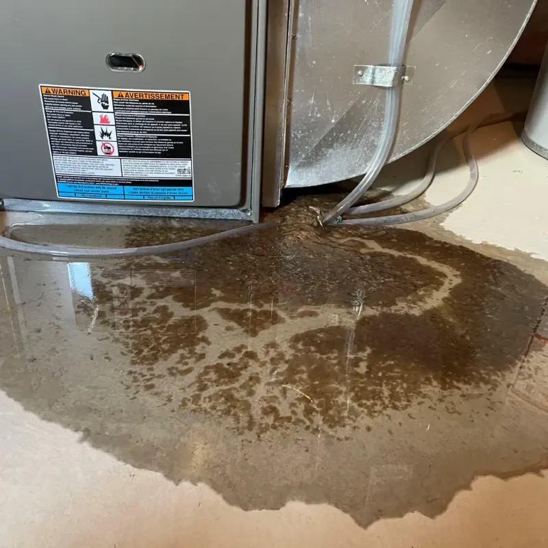 Appliance Leak Cleanup in Broad Ripple, IN