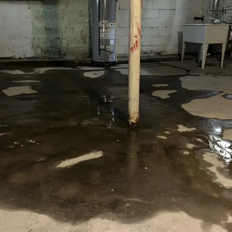 Emergency Water Extraction And Removal in Broad Ripple, IN